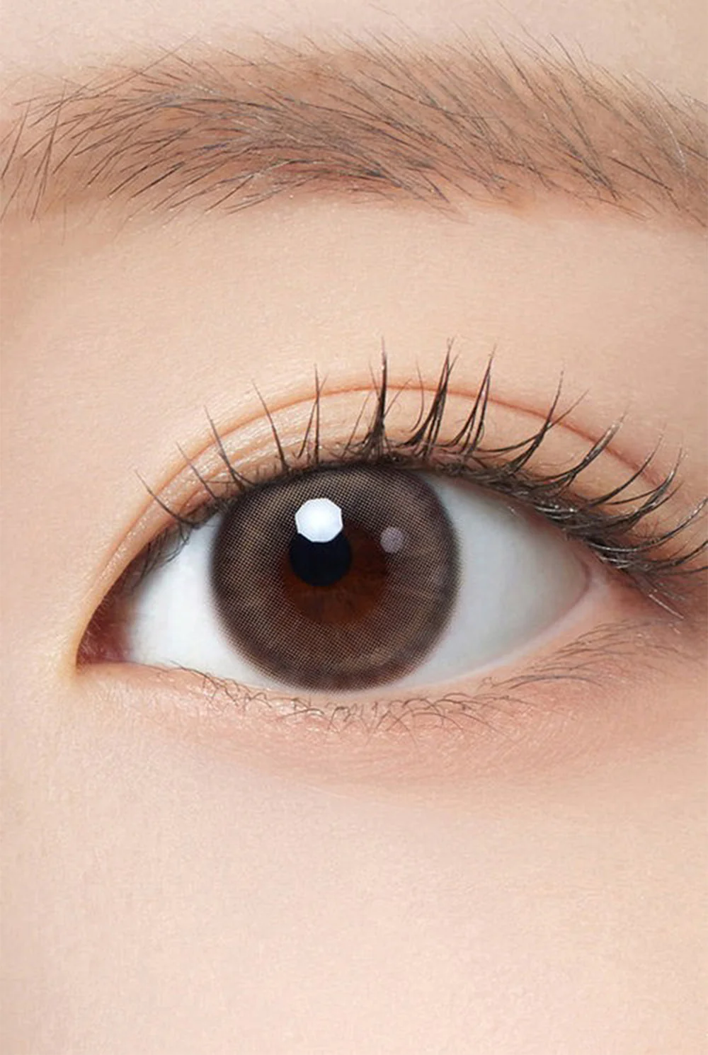 HAPA KRISTIN Pit-a-Pat Kristin 1 Day 隱形眼鏡 #Beige 米棕色