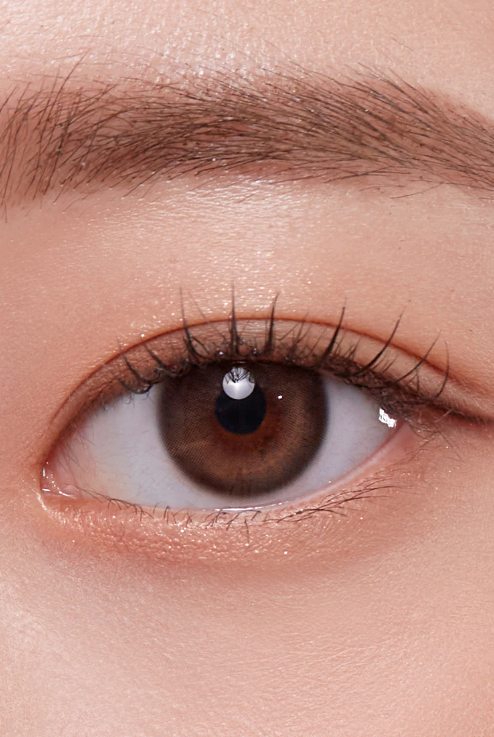 HAPA KRISTIN One & Only Kristin Plus 月拋隱形眼鏡 #Brown 棕色