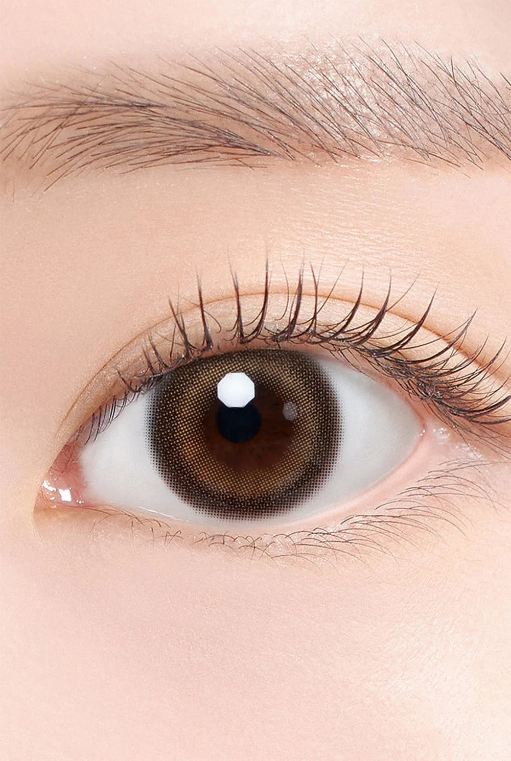 HAPA KRISTIN Dear Deer Kristin 月拋隱形眼鏡 #Bomb Brown 斑比棕