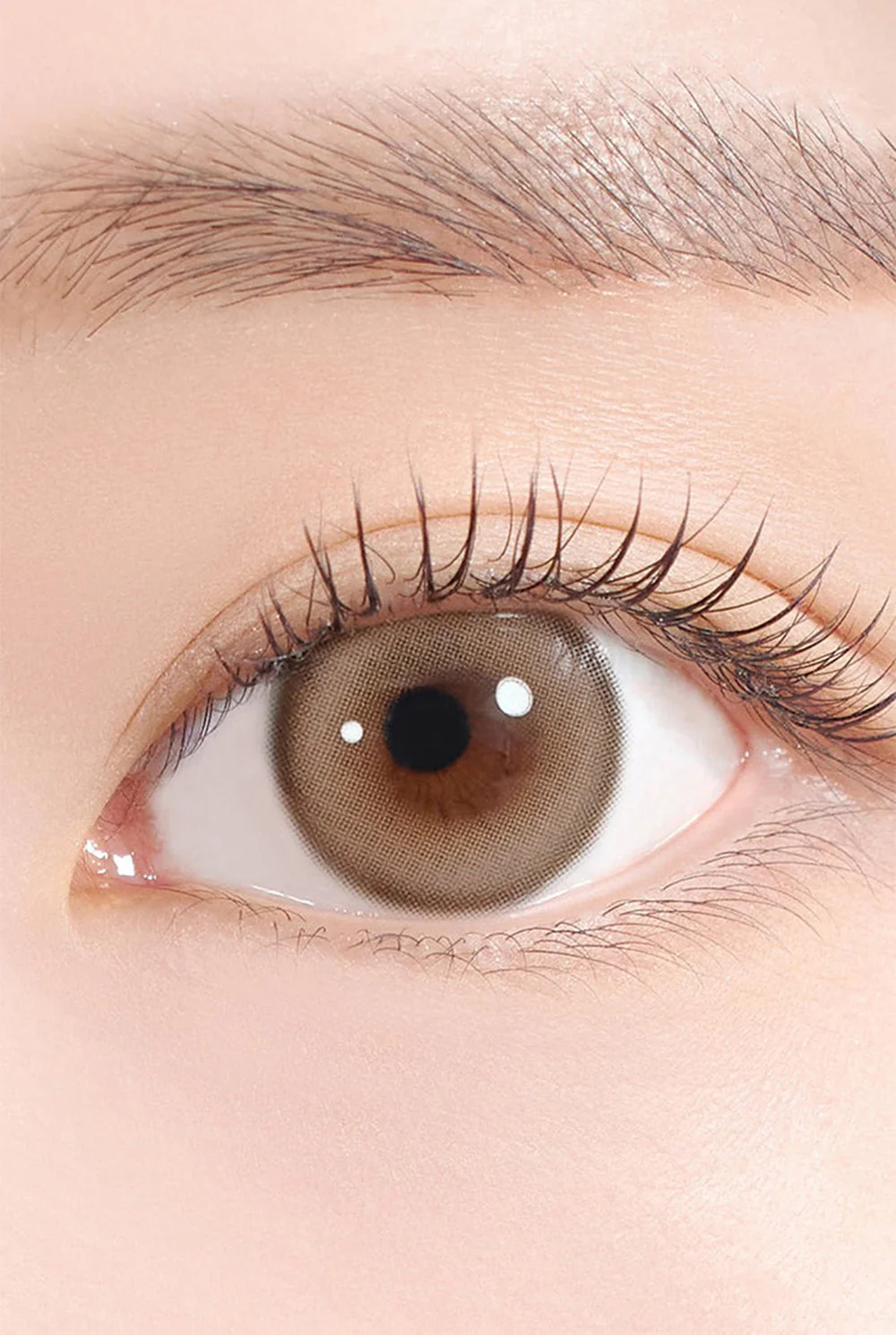 HAPA KRISTIN Sugar High Kristin 月拋隱形眼鏡 #Beige 米棕色