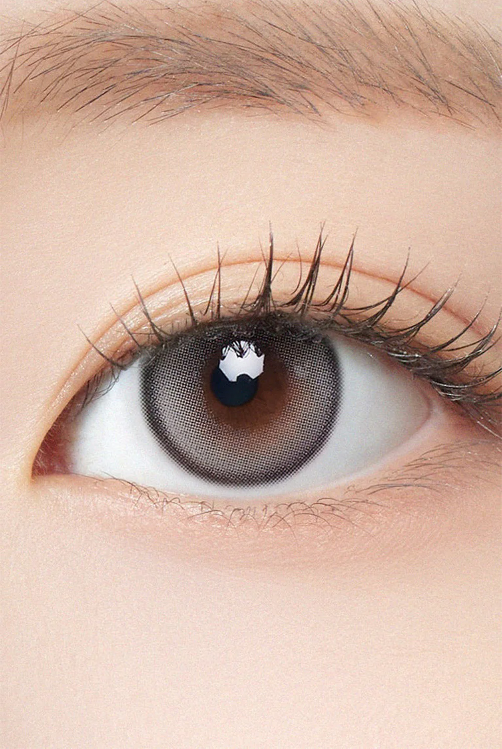 HAPA KRISTIN Sugar High Kristin Plus 月拋隱形眼鏡 #Grey 灰色