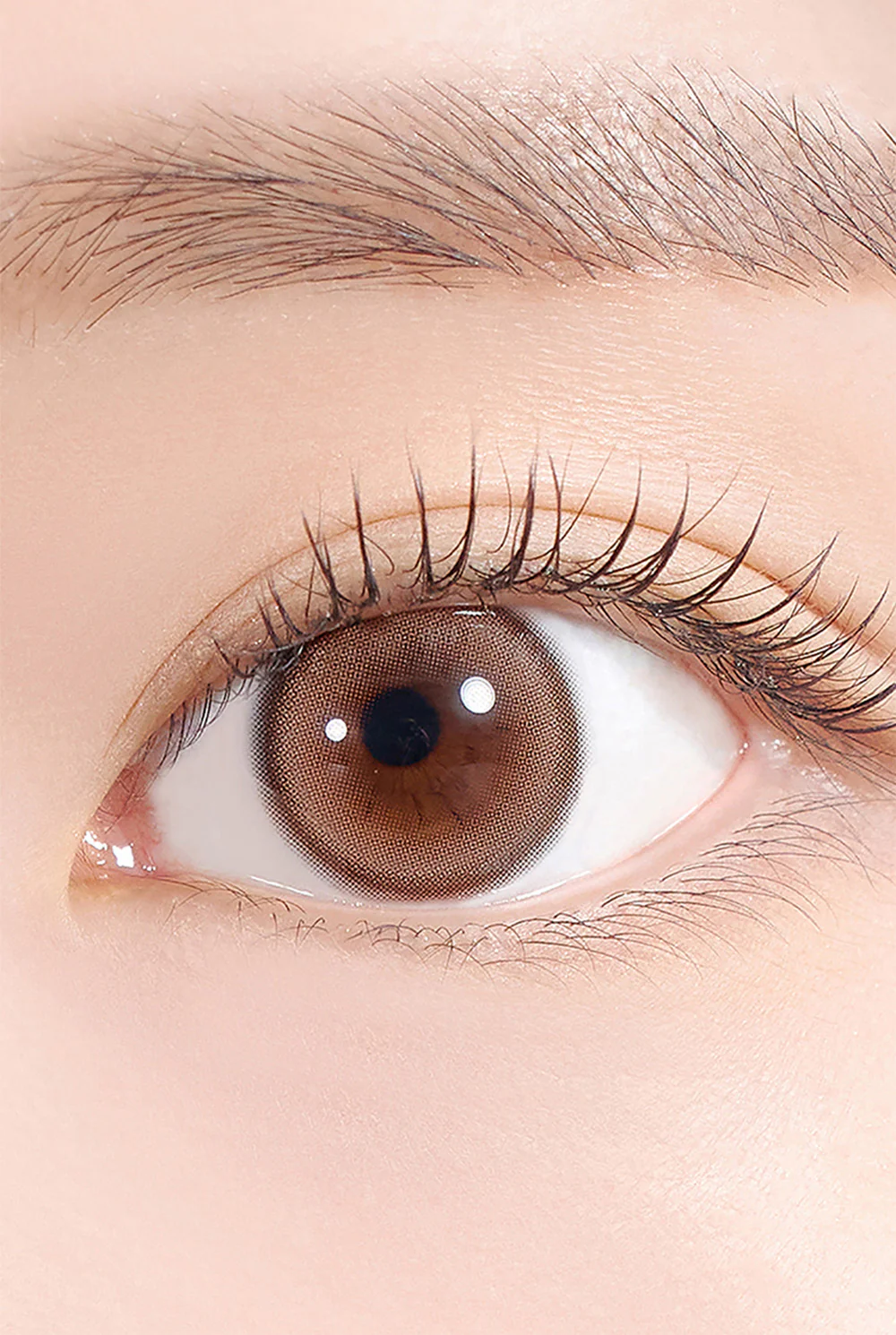 HAPA KRISTIN Forever Young Kristin 1 Day #Wannabe Brown 夢幻棕