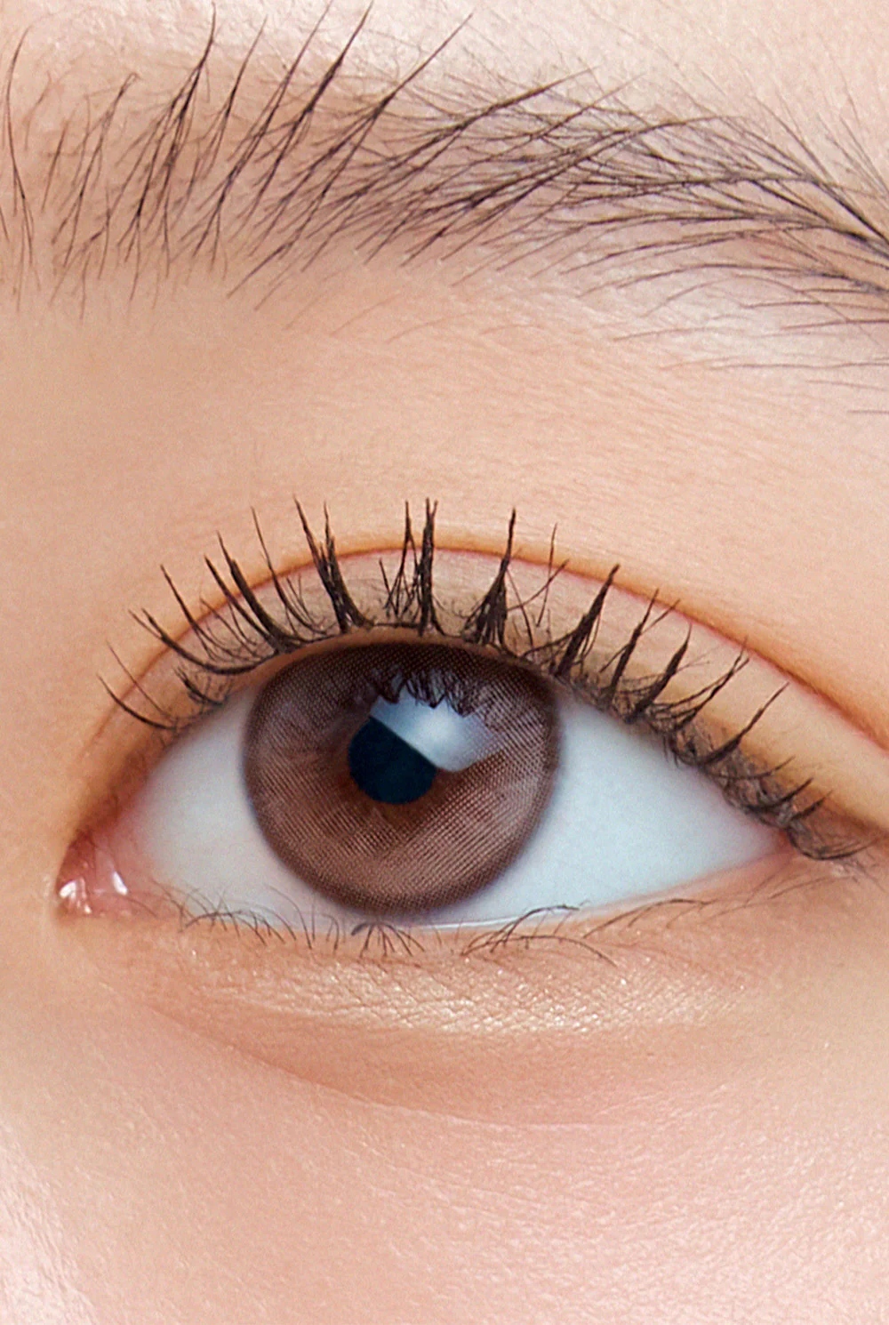 HAPA KRISTIN Wake Up Kristin 1 Day 隱形眼鏡 #Dawn Brown 曙光棕