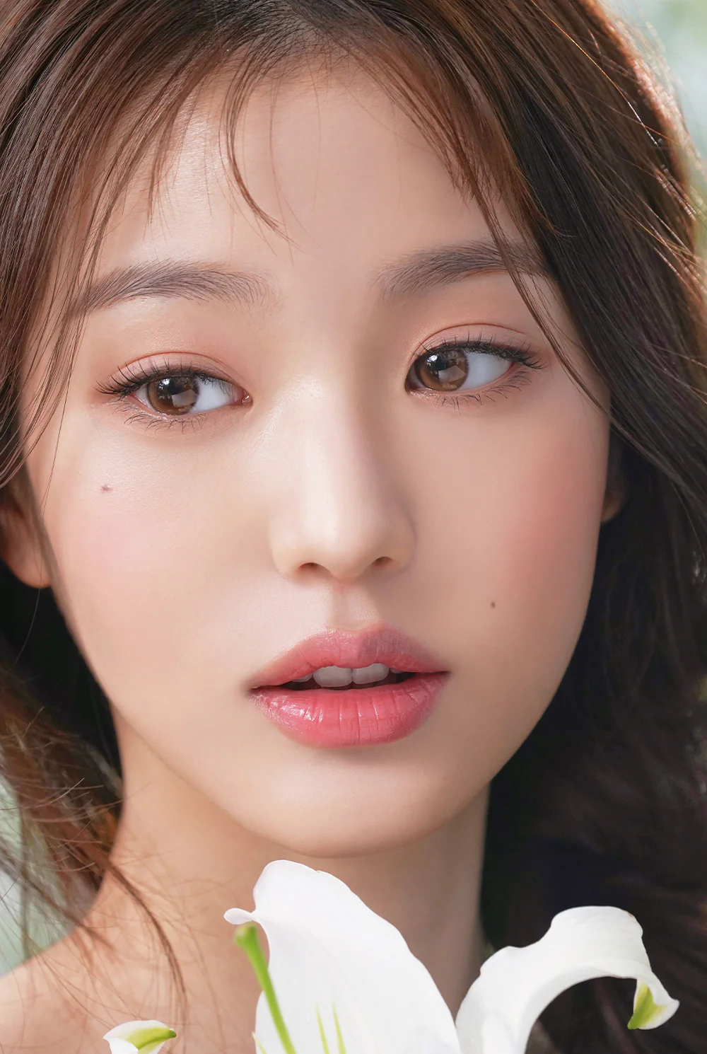 HAPA KRISTIN Dewy Kristin Basic 1 Day 隱形眼鏡 #Brown 棕色