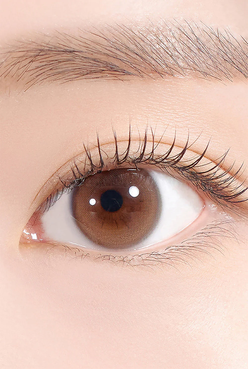 HAPA KRISTIN Dewy Kristin Basic 1 Day 隱形眼鏡 #Brown 棕色