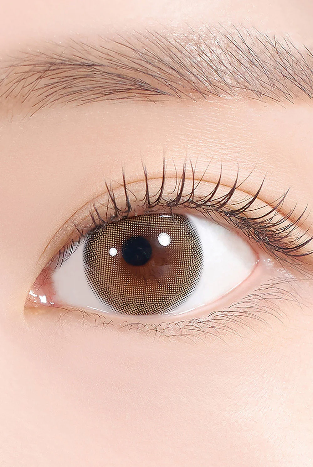 HAPA KRISTIN A to Z Kristin 月拋隱形眼鏡 #Brown 棕色【3款尺寸】