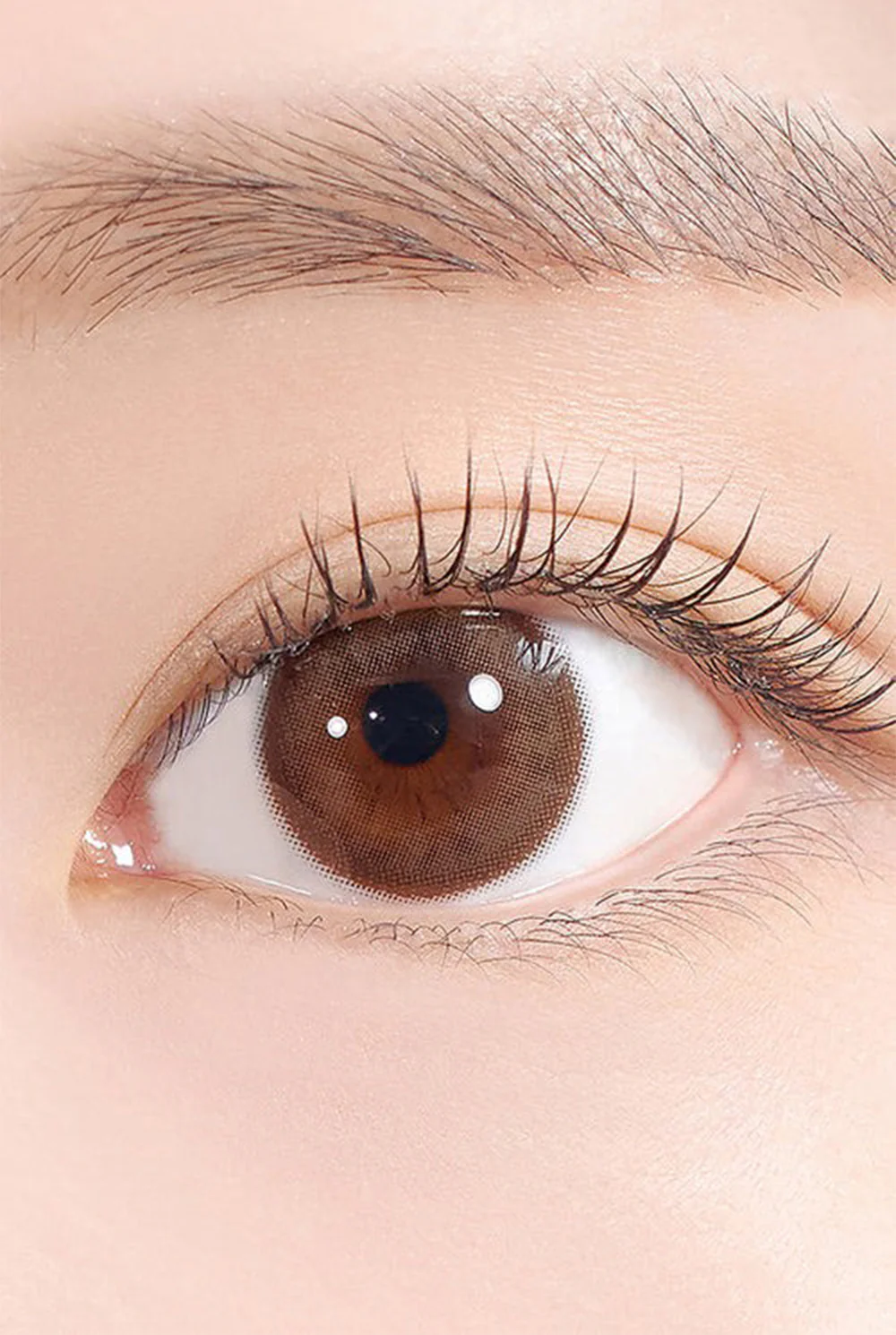 HAPA KRISTIN See Through Kristin Plus 1 Day 隱形眼鏡 #Choco 巧克棕