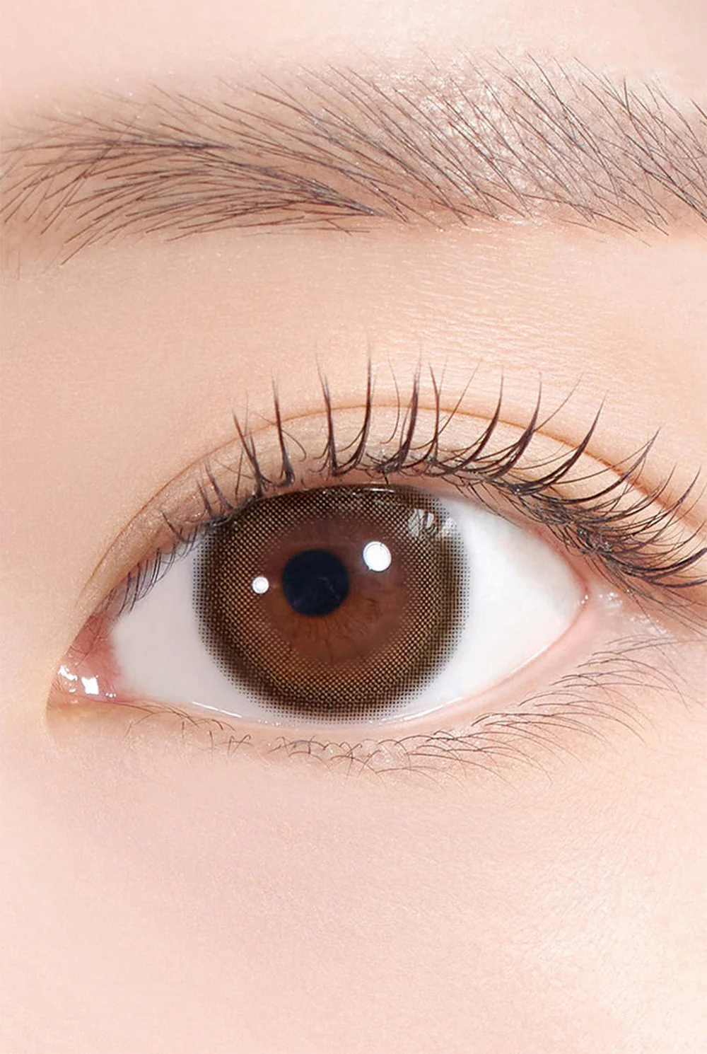 HAPA KRISTIN Glazed Kristin 月拋隱形眼鏡 #Choco 巧克棕