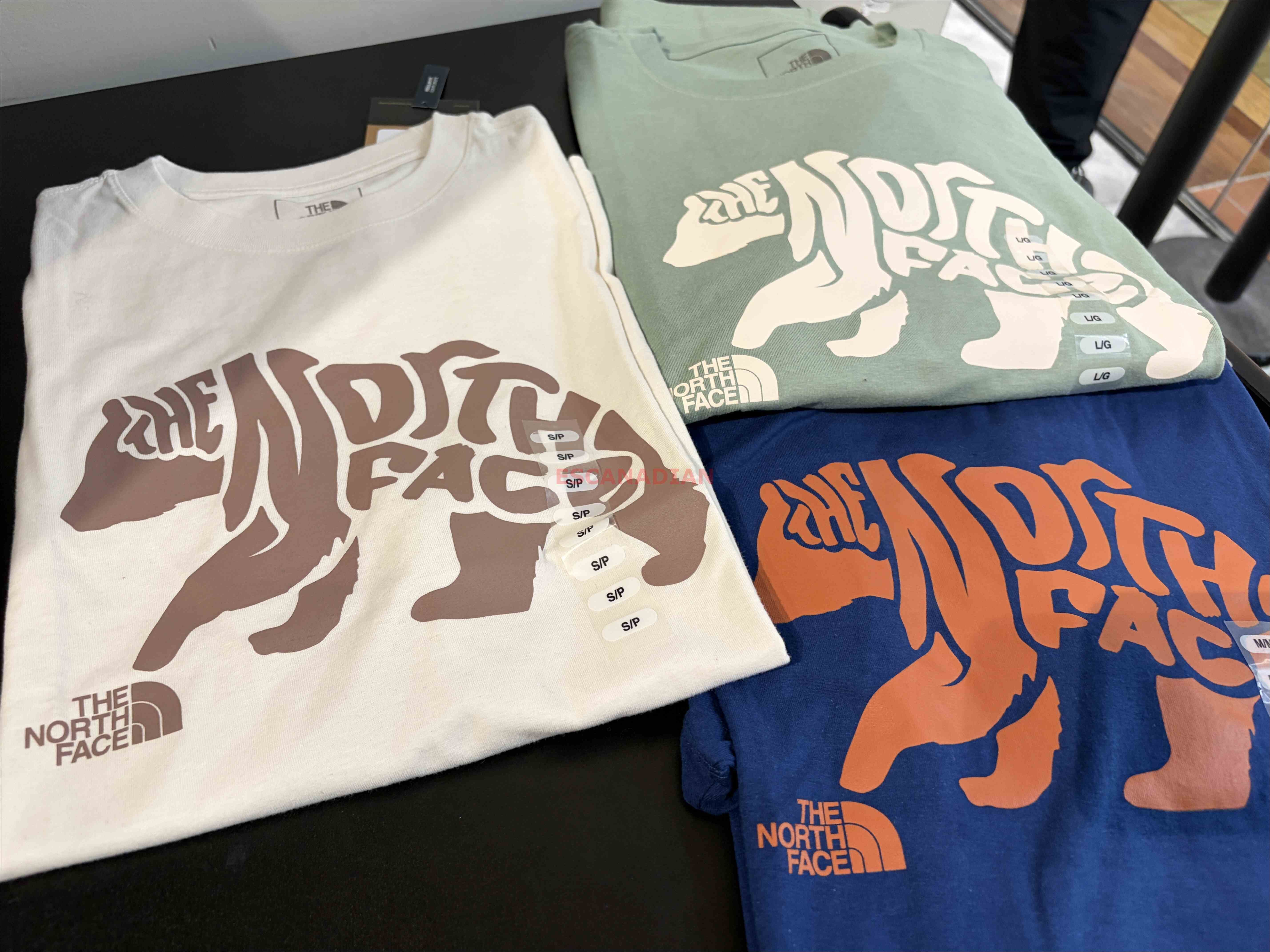 THE NORTH FACE 男大人 熊圖案 短TEE (3色)