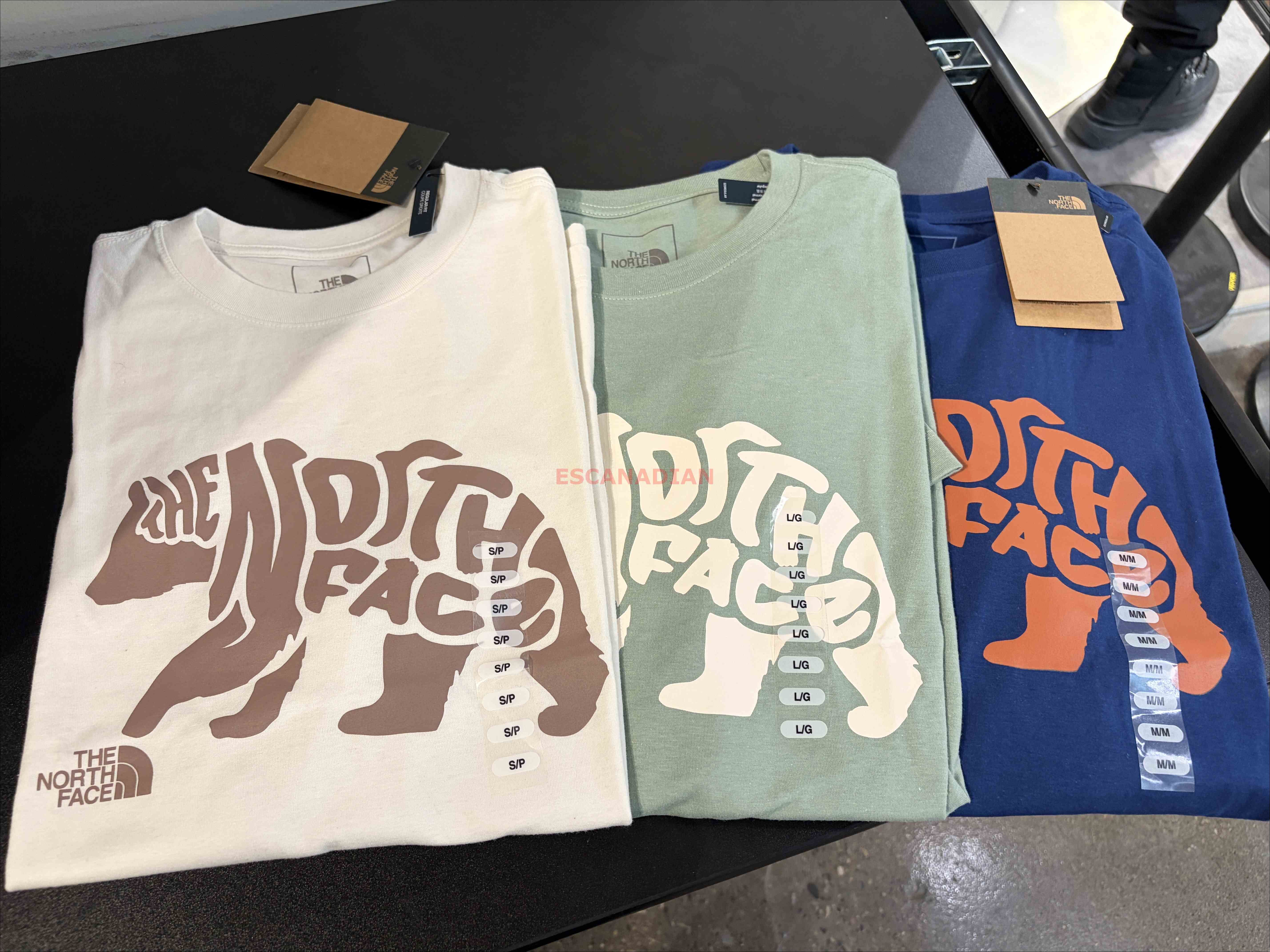 THE NORTH FACE 男大人 熊圖案 短TEE (3色)