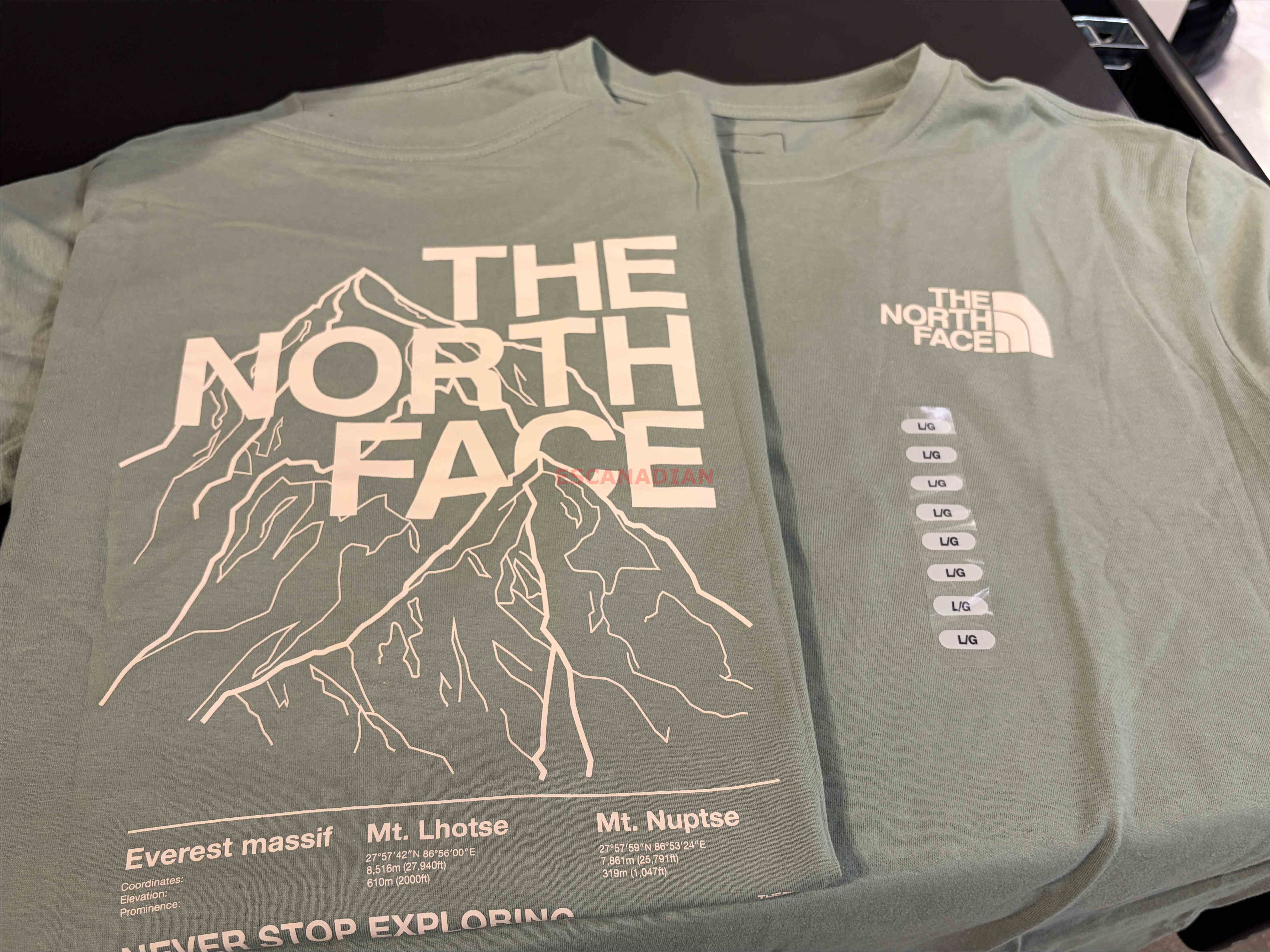 THE NORTH FACE 男大人 正反 雪山圖案 短TEE