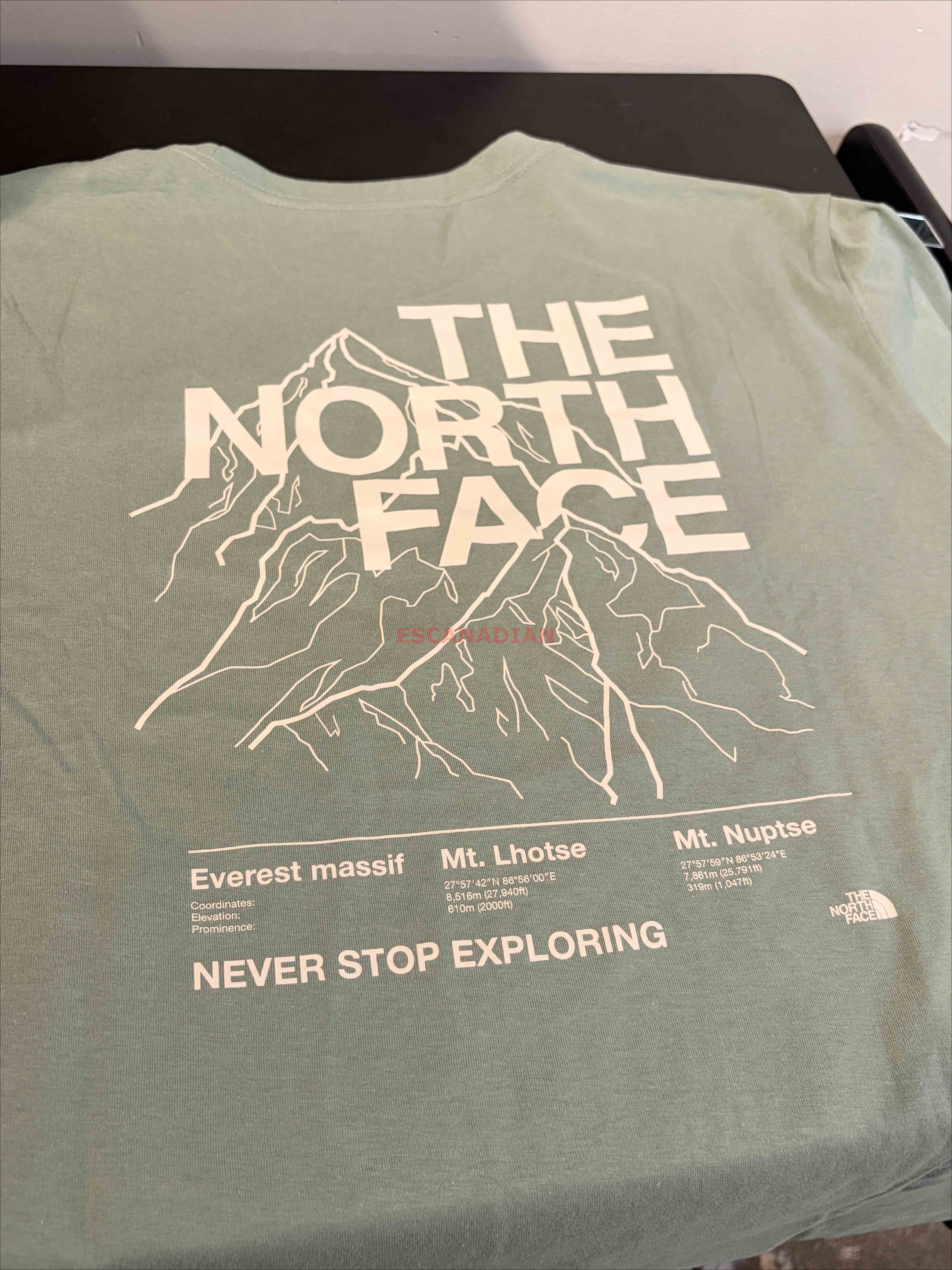 THE NORTH FACE 男大人 正反 雪山圖案 短TEE