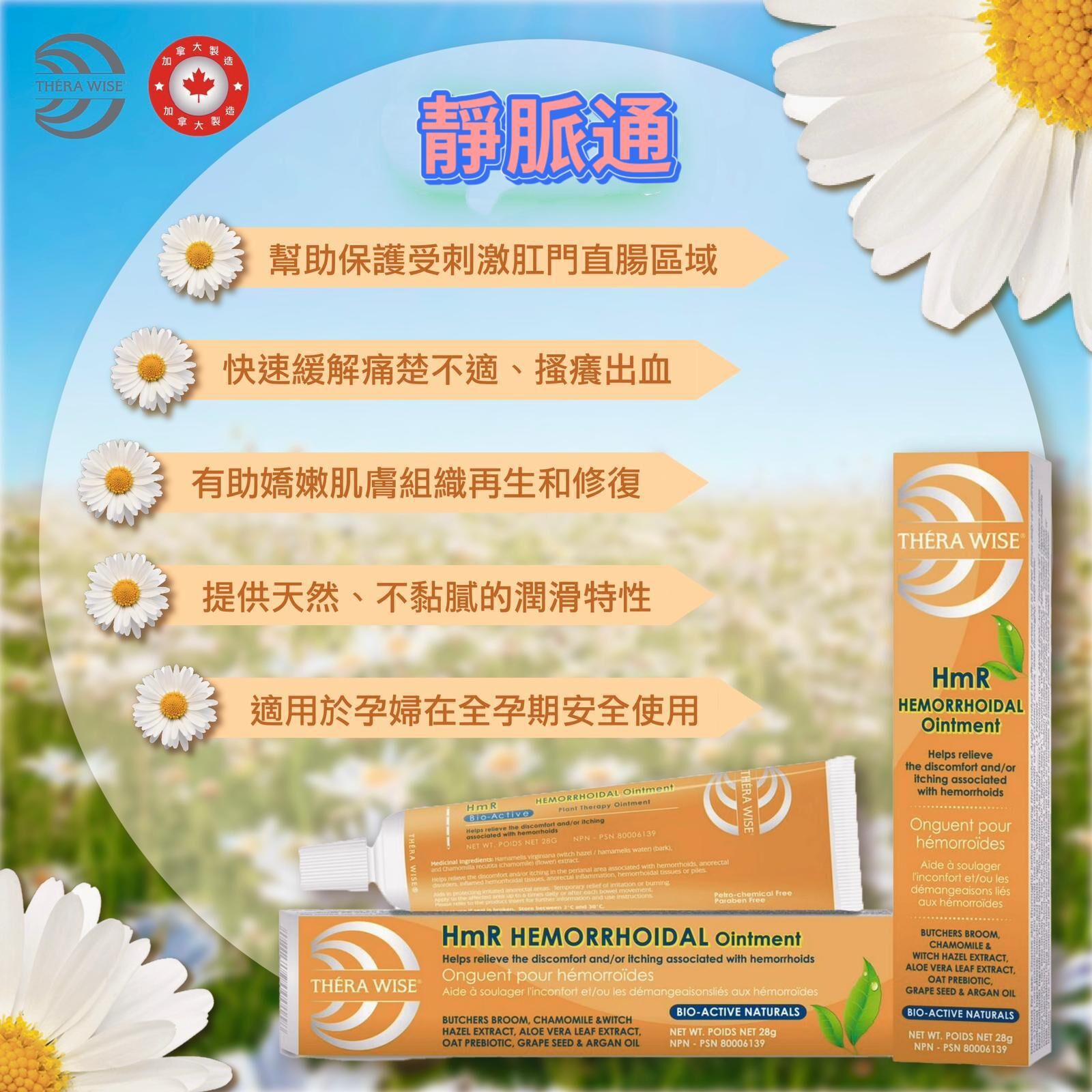 0310CA08-痛症膏CA-靜脈通-靜脈曲張, 內外痔都可用 HMR [買2件$338] (A8)