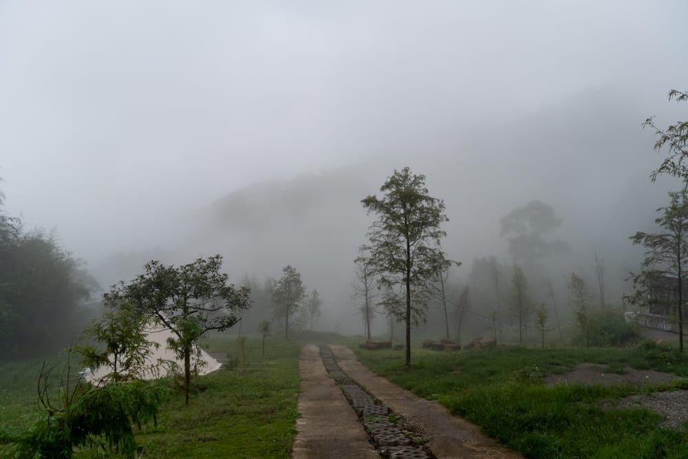 山林起霧 BASECAMP