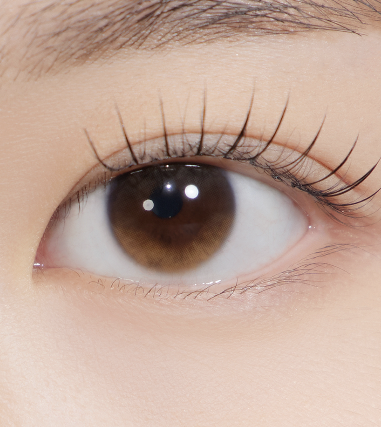 HAPA KRISTIN Secretive Kristin Basic 月拋隱形眼鏡 #Brown