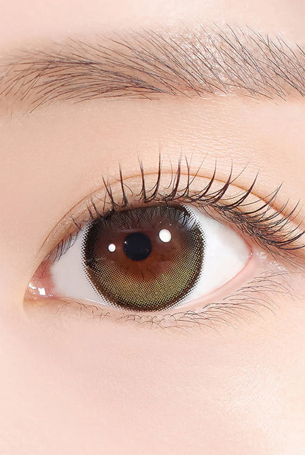 HAPA KRISTIN Secretive Kristin Plus 1 Day 隱形眼鏡 #Olive 橄欖色