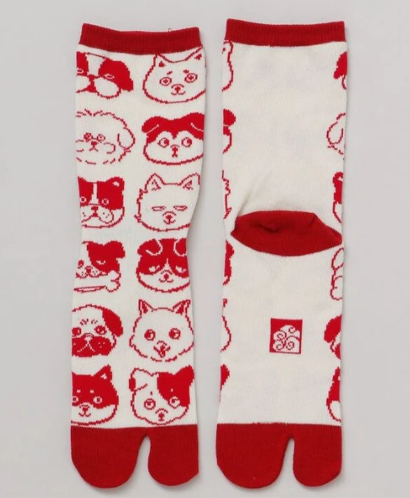 [Amina] 可愛狗狗 日牌分趾襪