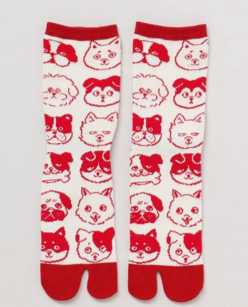 [Amina] 可愛狗狗 日牌分趾襪