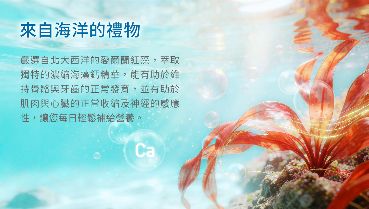 來自海洋的禮物，嚴選自北大西洋的愛爾蘭紅藻，萃取獨特的濃縮海藻鈣精華，能有助於維持骨骼與牙齒的正常發育，並有助於肌肉與心臟的正常收縮及神經的感應性，讓您每日輕鬆補給營養。