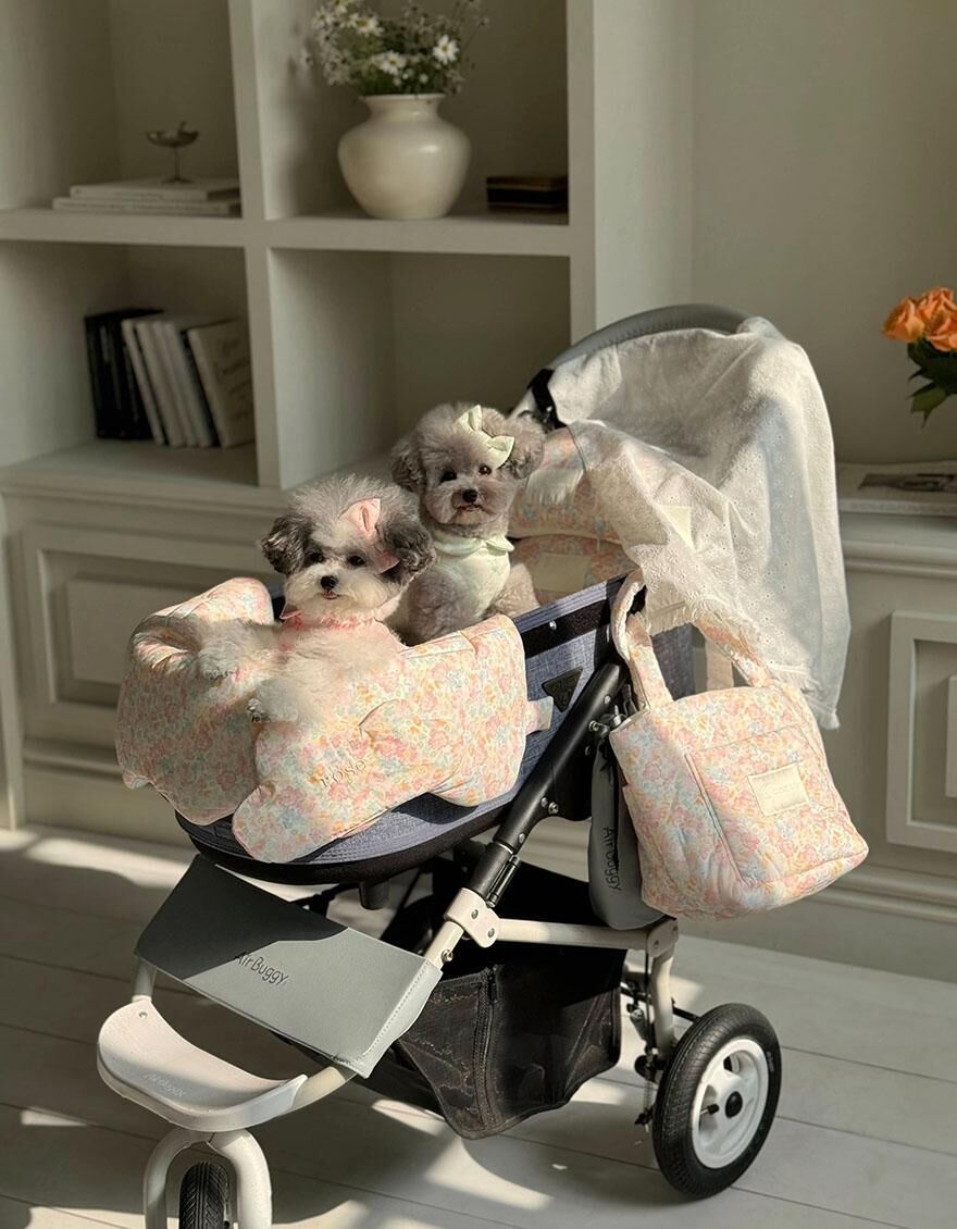 OPAAAP 春漾推車圍片_罌粟花