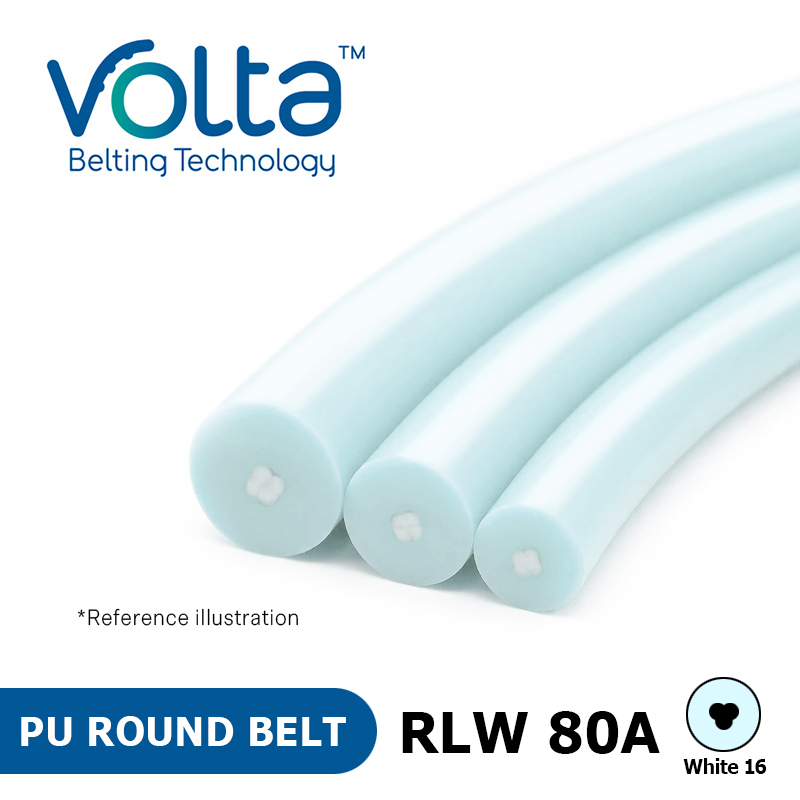 Volta PU 圓帶 - RLW 80A 白色16