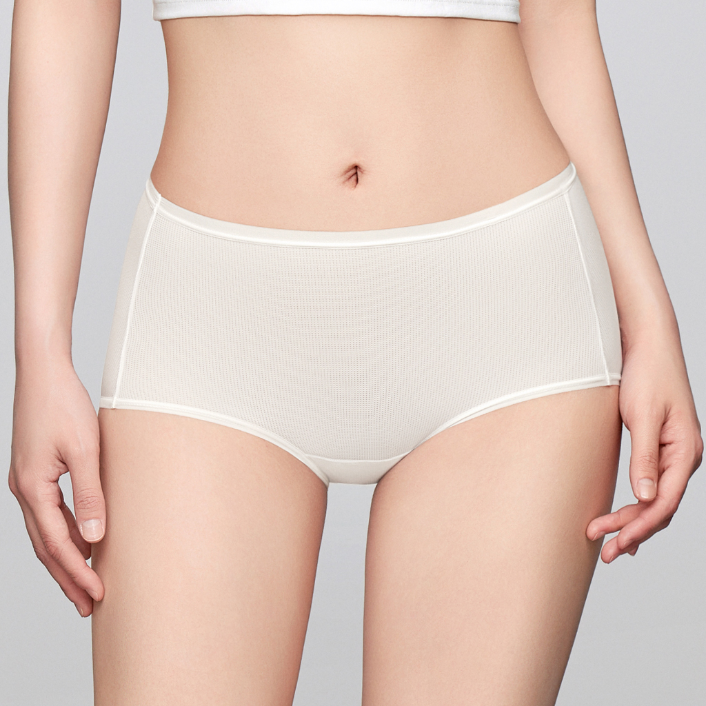 0327EF21-安莉芳內衣-冰爽風巢褲Panties-3件（A21）