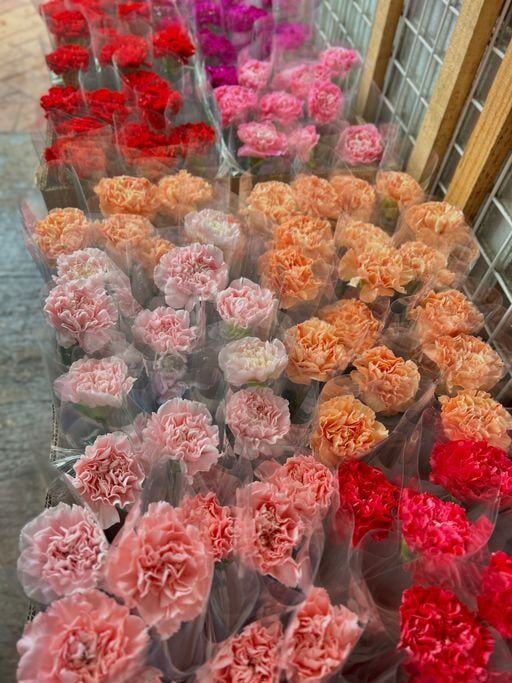 W - 康乃馨 (20紮起計)