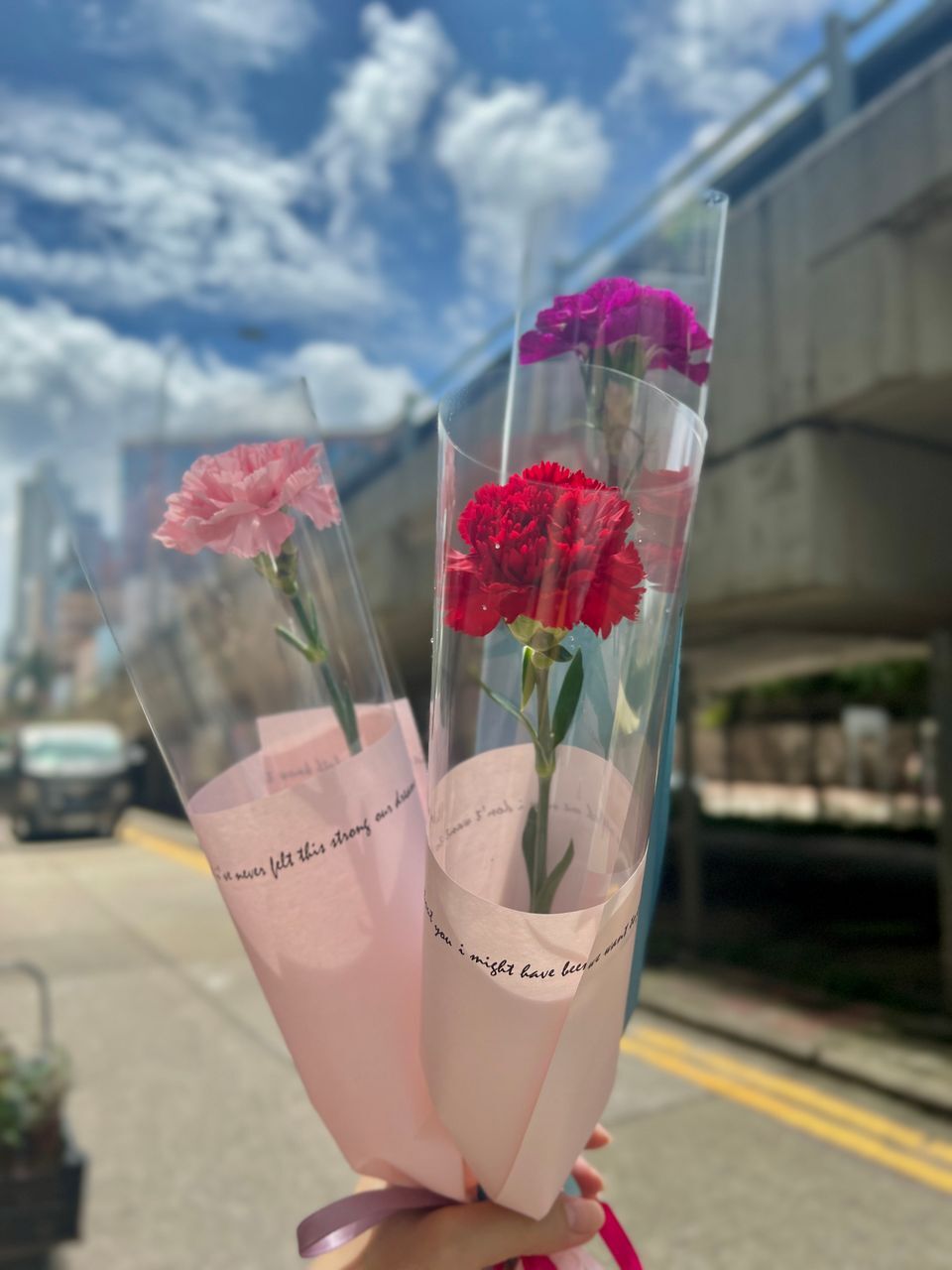 W - 康乃馨 (20紮起計)