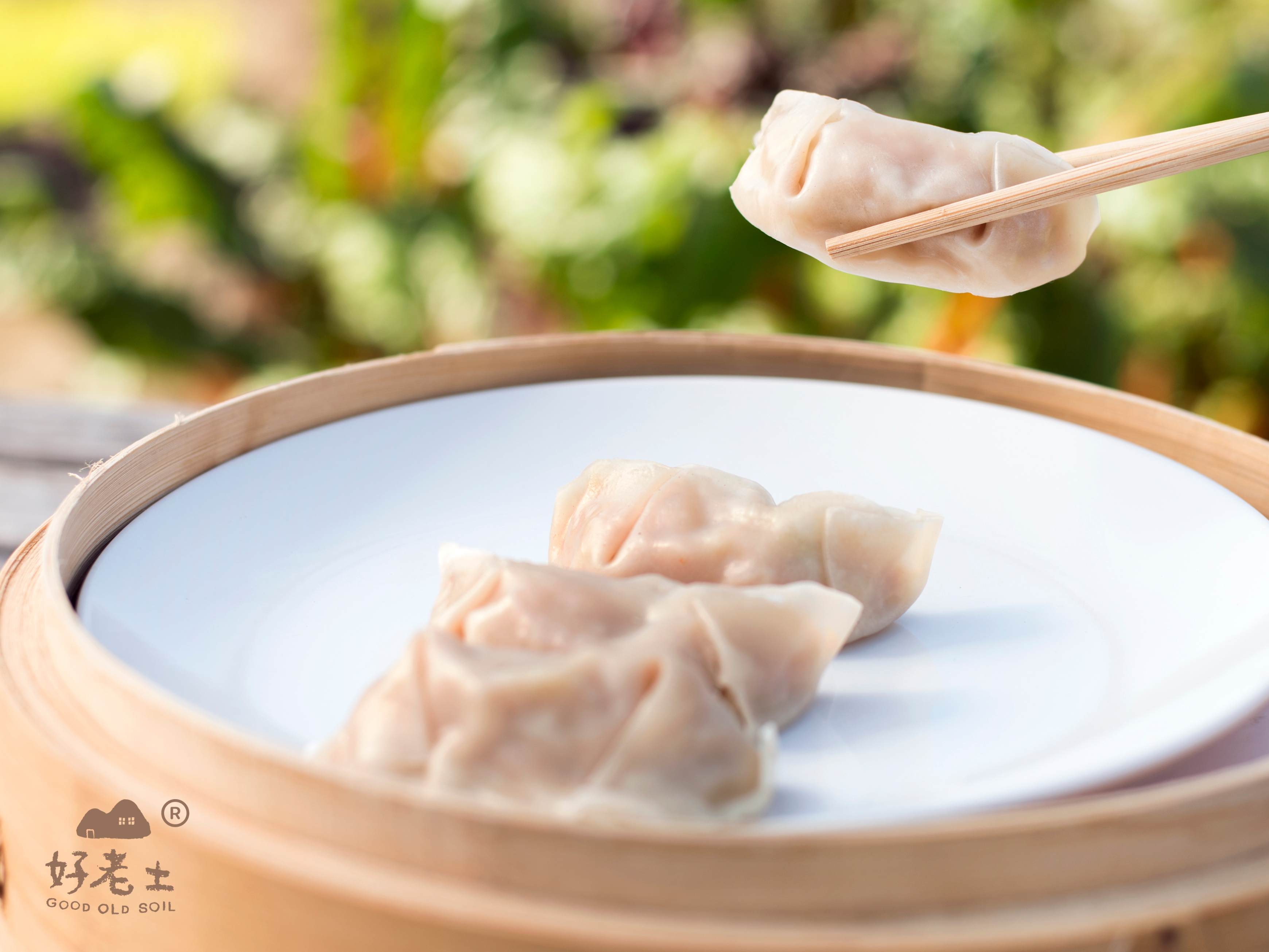 本地沙葛豬肉椰菜餃子 (8隻)