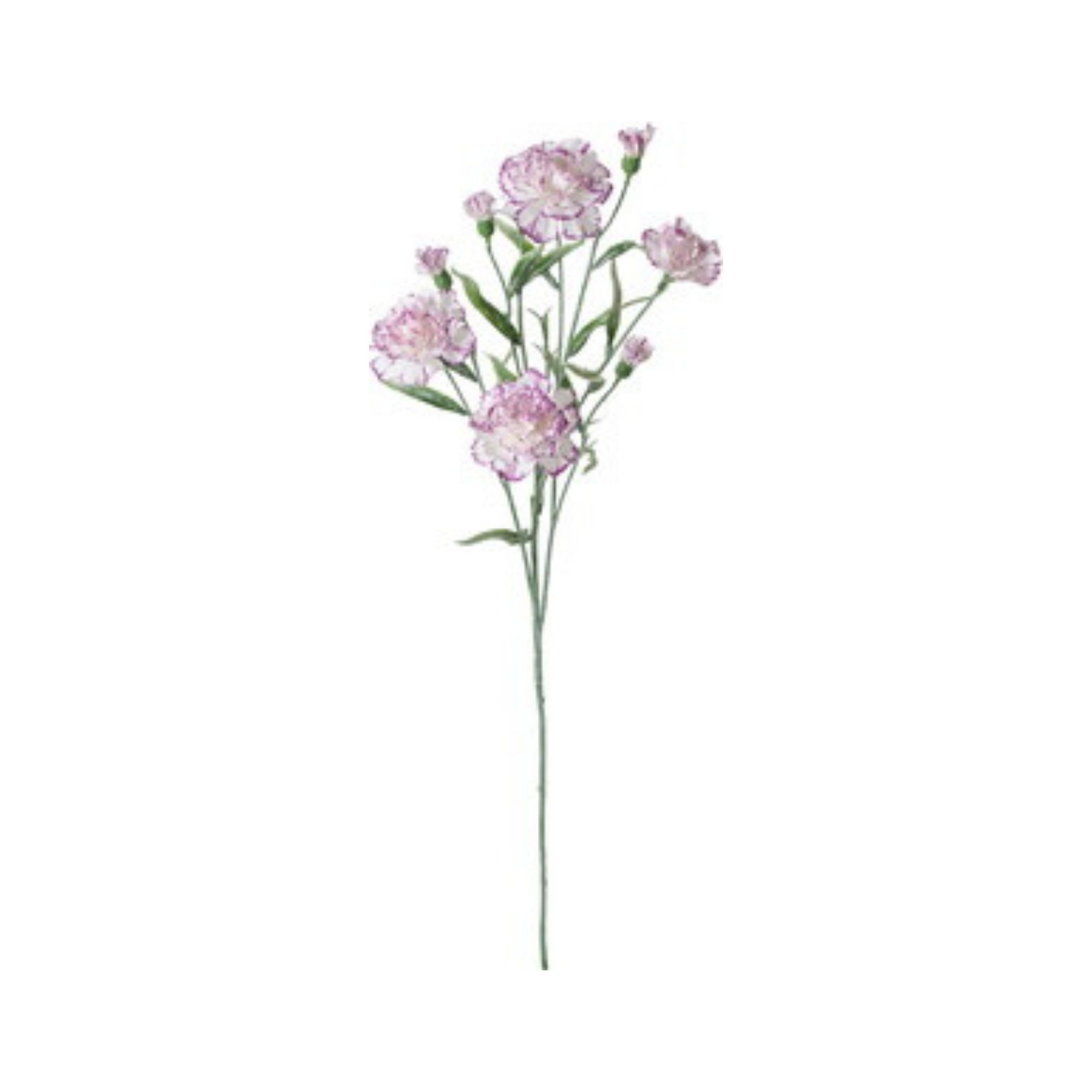 人造花 多頭康乃馨 白紫邊