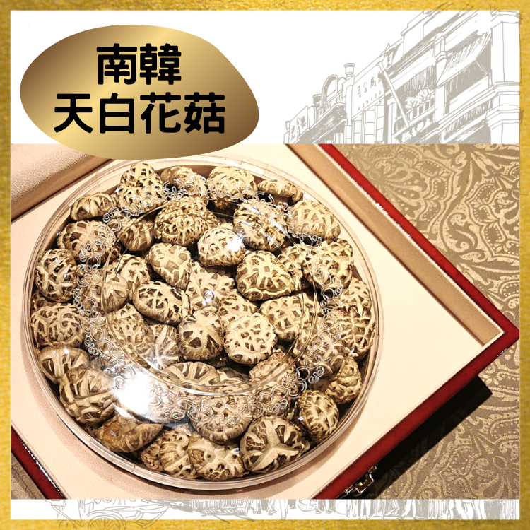 海王牌-南韓天白花菇