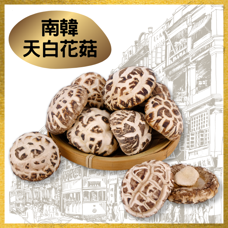 海王牌-南韓天白花菇
