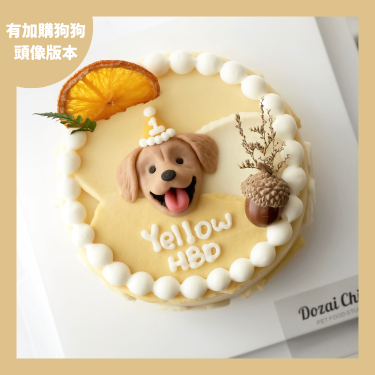 ꒰ 黃色系꒱ 橙光森林