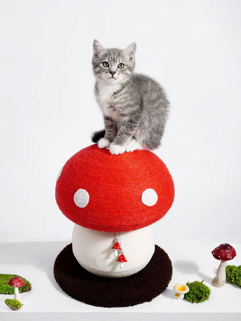 喵仙兒-奇諾菇菇抓柱