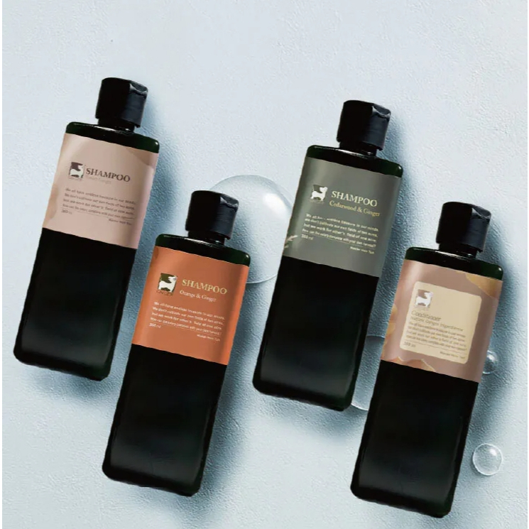 【樂森藥局】薑心比心 薑芬洗髮精 360ml / 500ml
