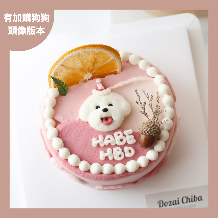 ꒰ 粉紅色系꒱ 橙光森林