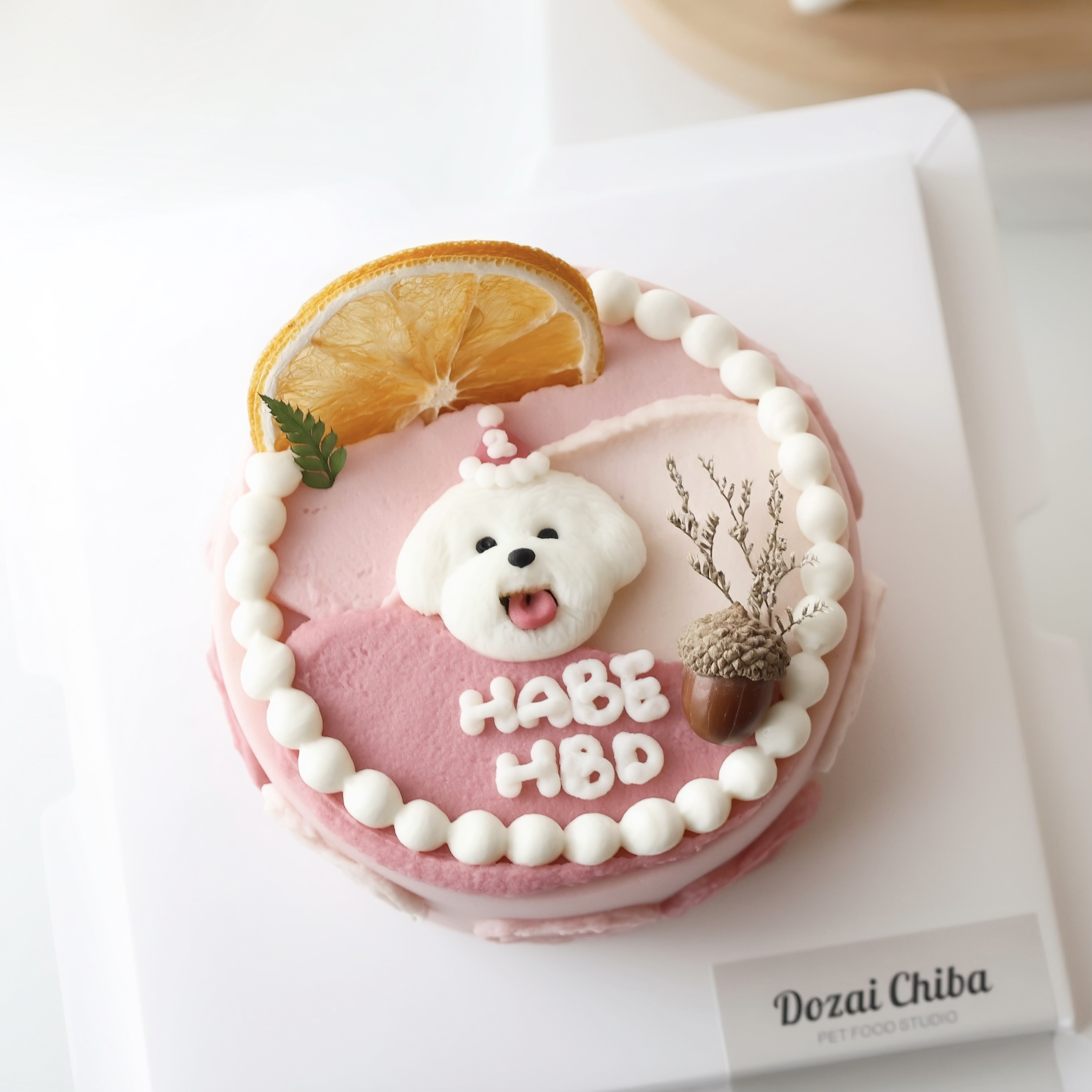 ꒰ 粉紅色系꒱ 橙光森林