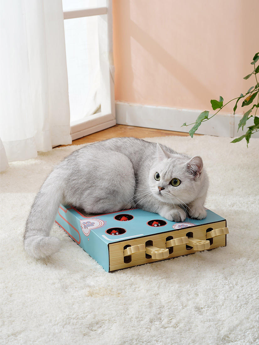 喵仙兒-抓抓貓瘋狂玩具盒