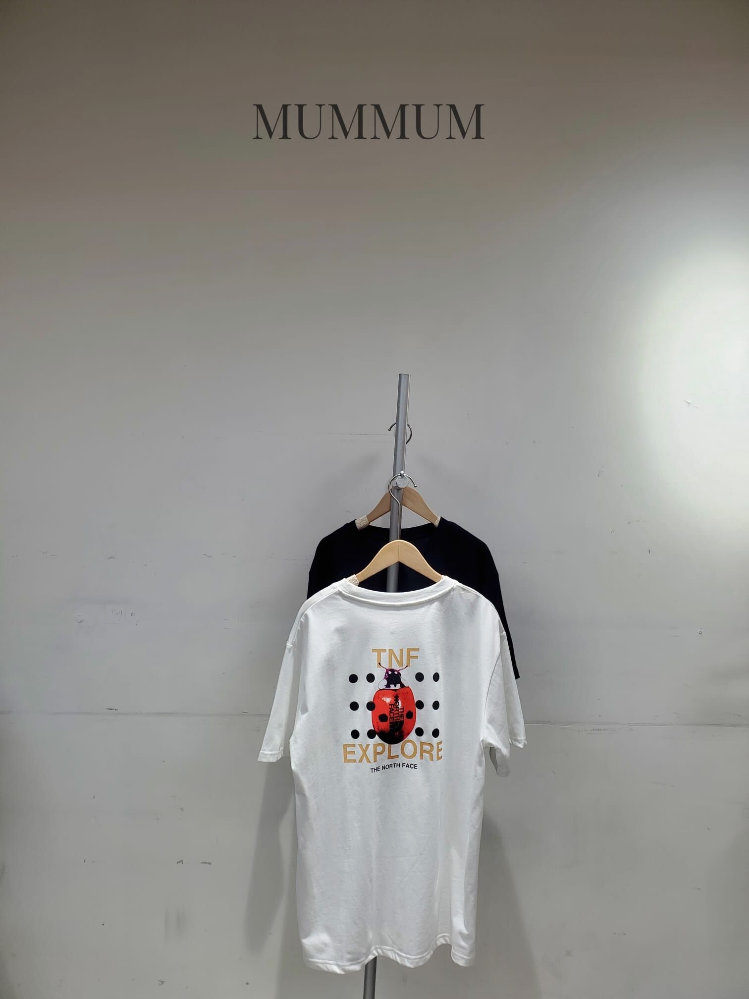 0213229a/The north face甲蟲點T恤　44/44/28