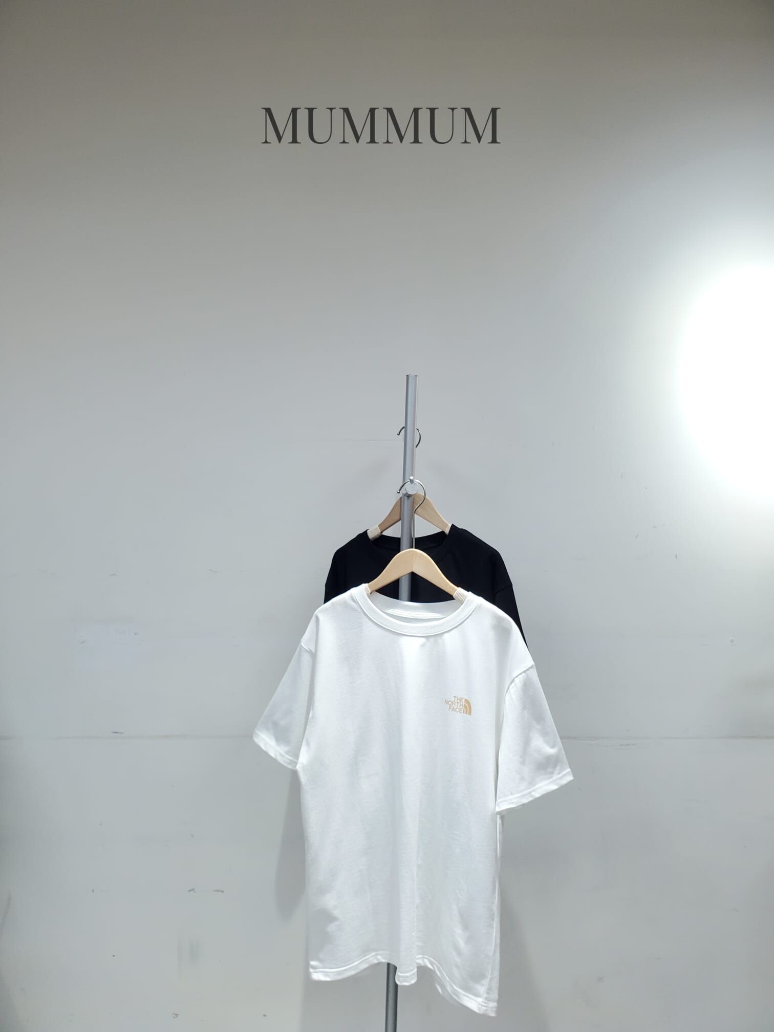 0213229a/The north face甲蟲點T恤　44/44/28