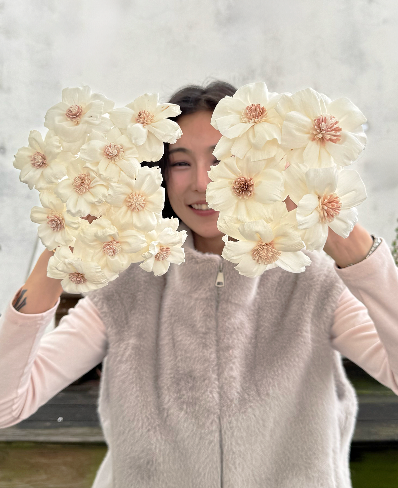 乾燥雲花索拉花