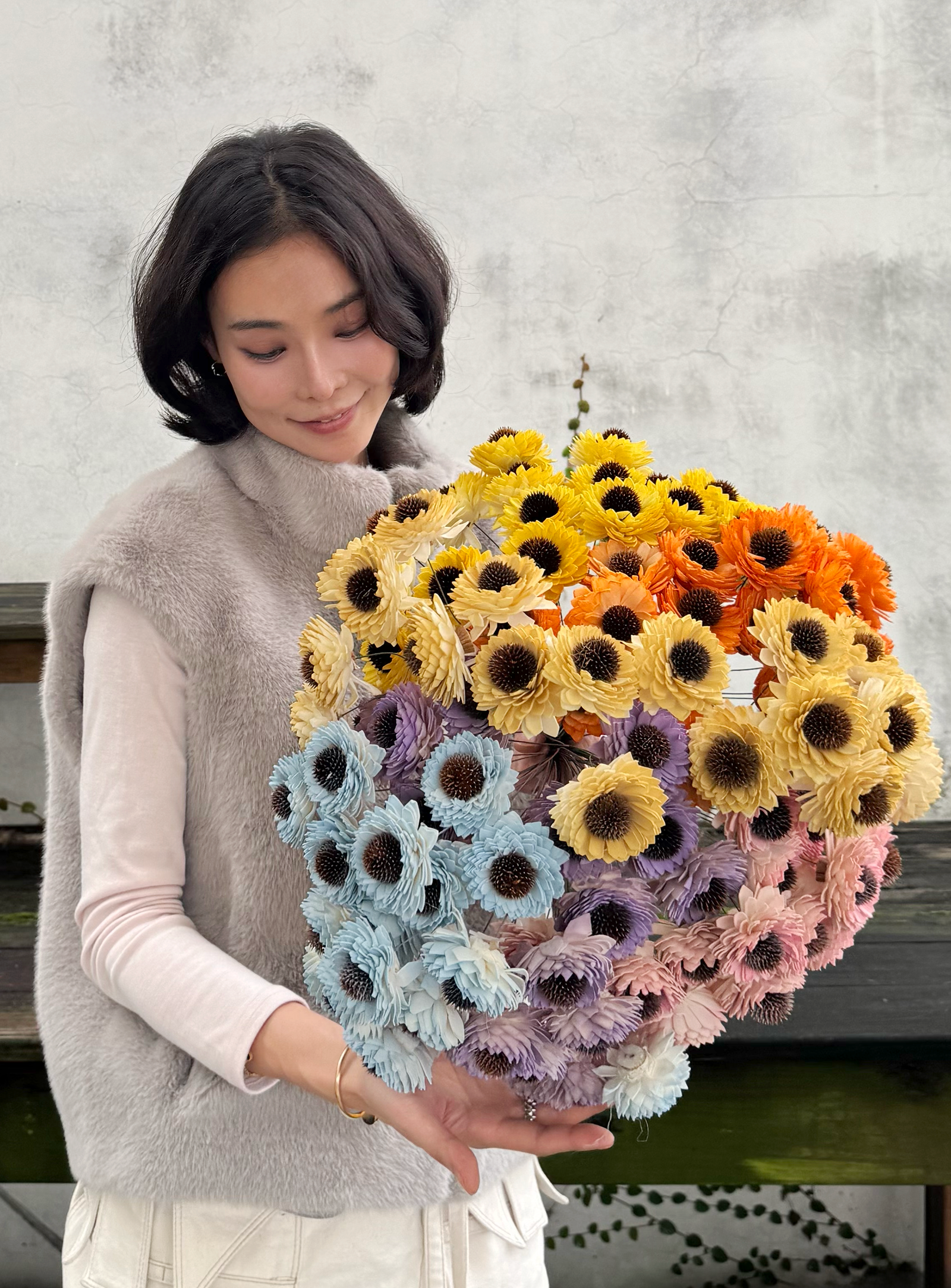 乾燥向日葵索拉