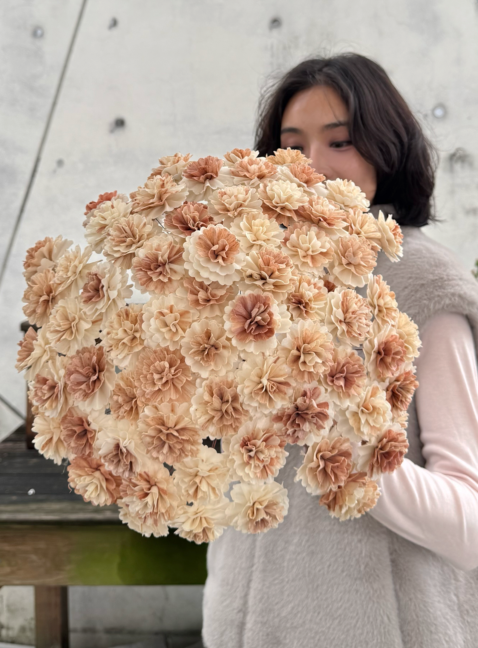 奶茶波浪康乃馨索拉