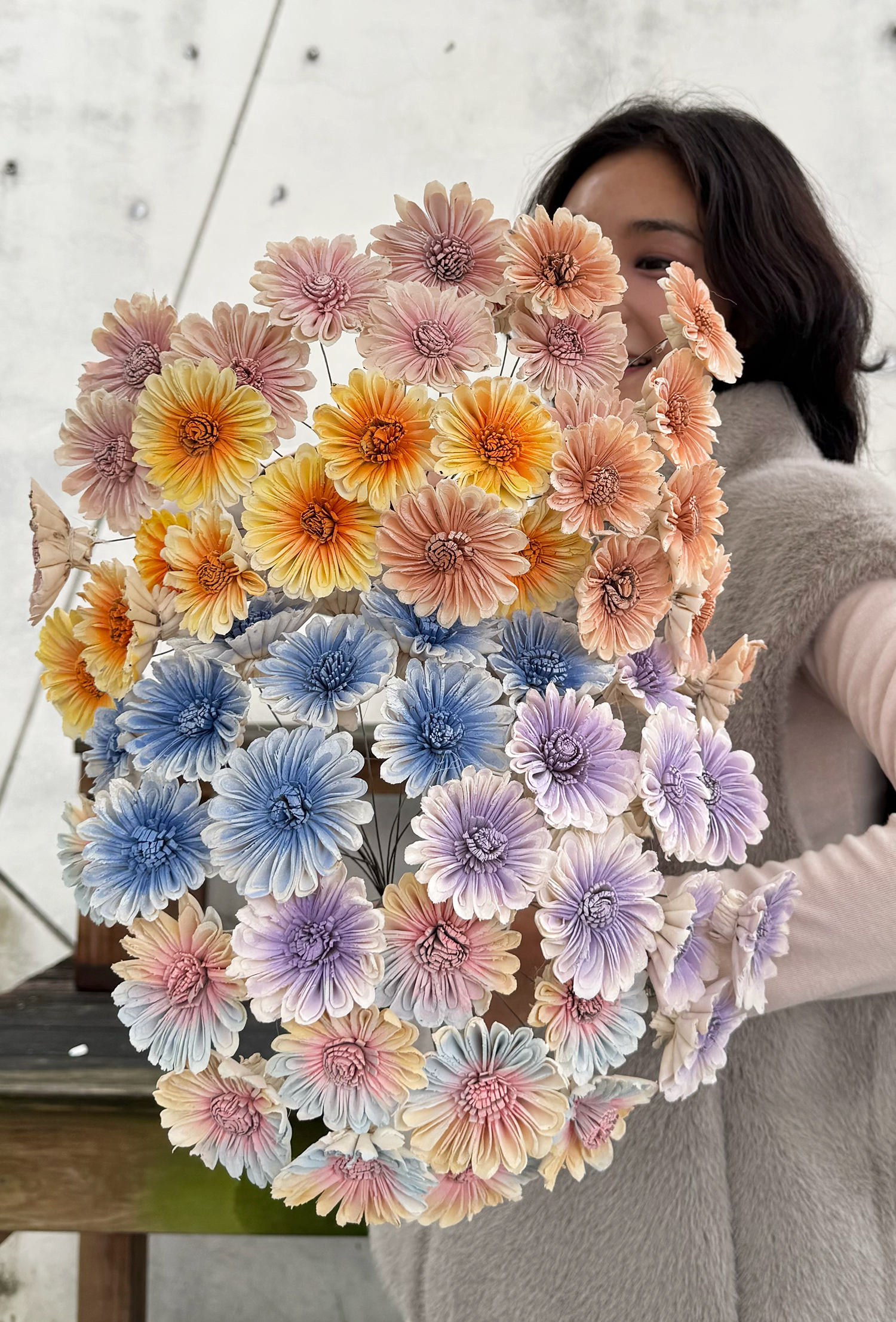 乾燥非洲太陽索拉