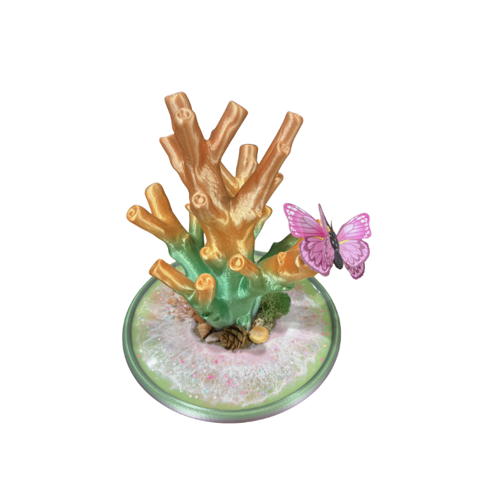 ※寄賣 珊瑚座-蝴蝶