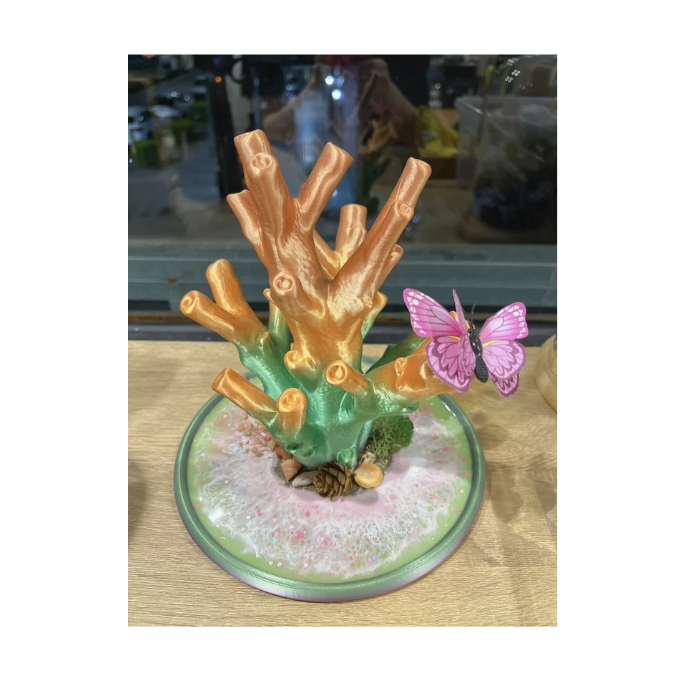 ※寄賣 珊瑚座-蝴蝶