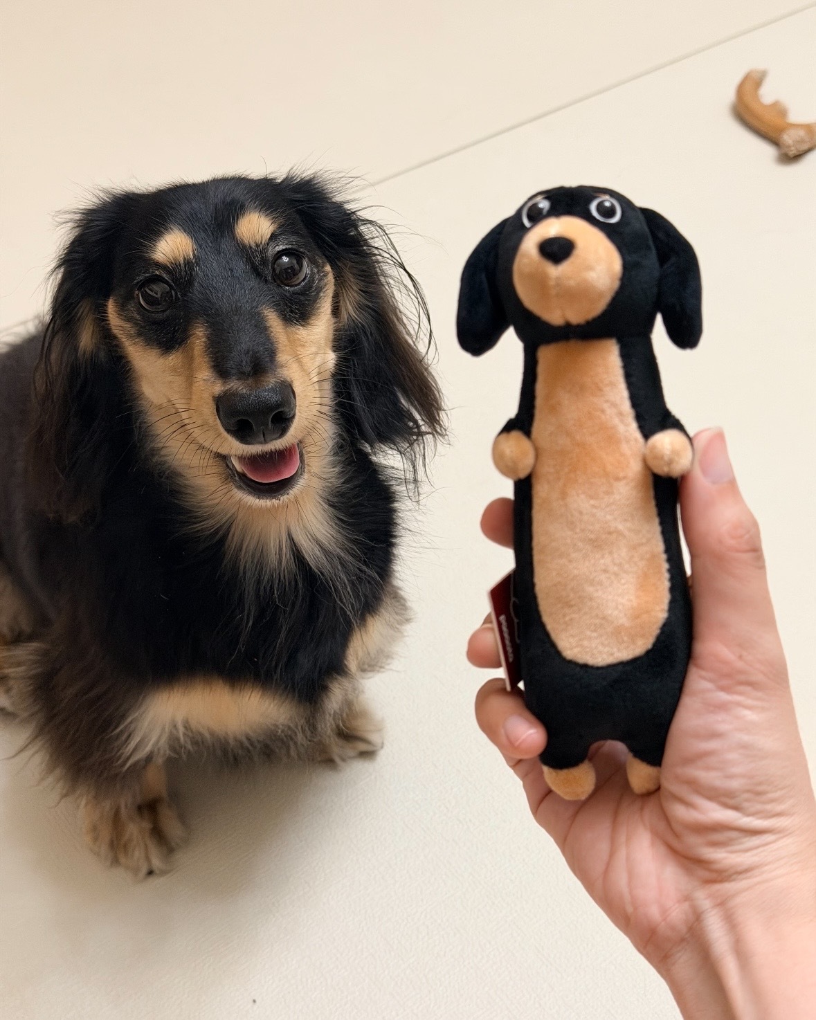 Paaaata 臘腸狗 毛絨 掛件 吊飾 十三款