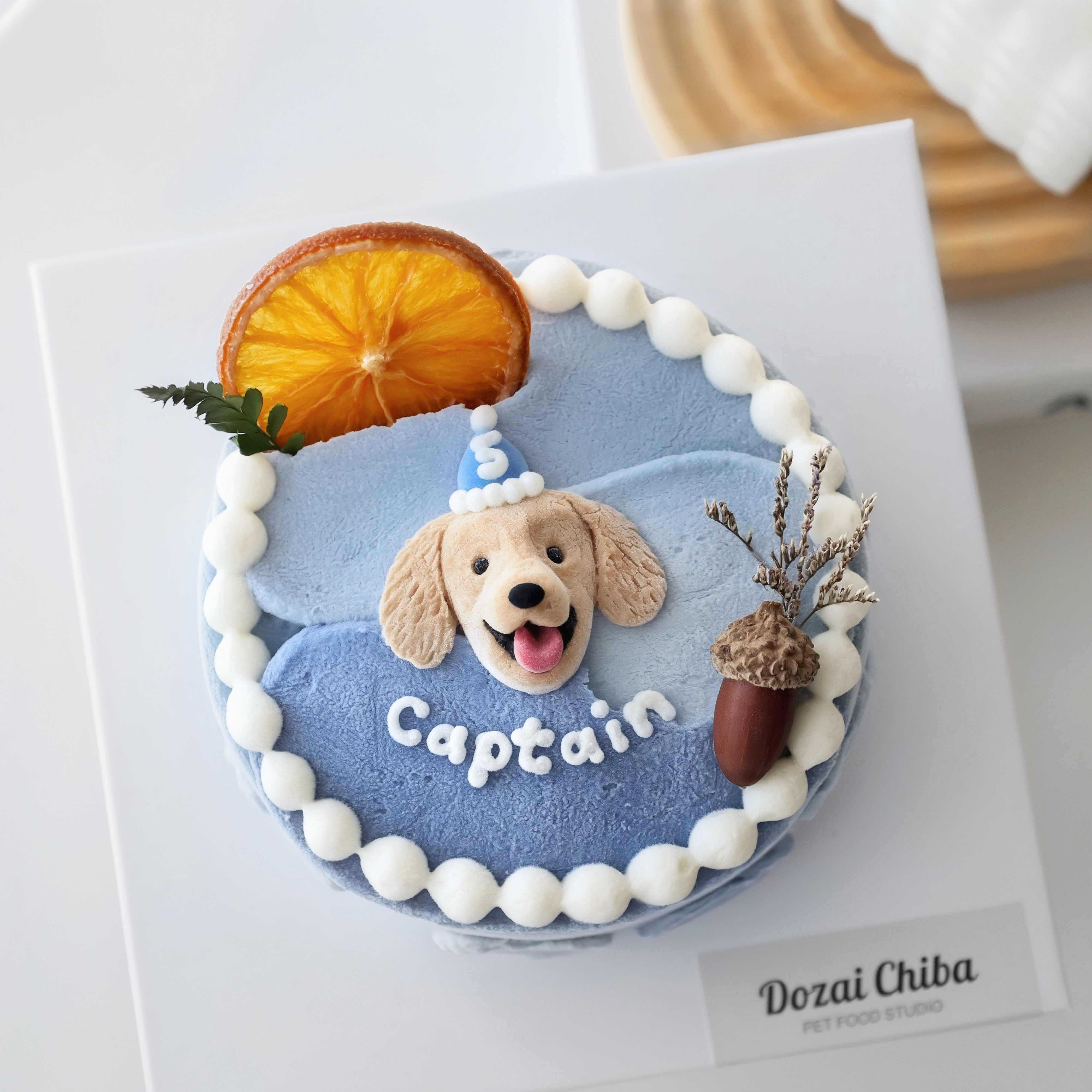 ꒰ 藍色系꒱ 橙光森林