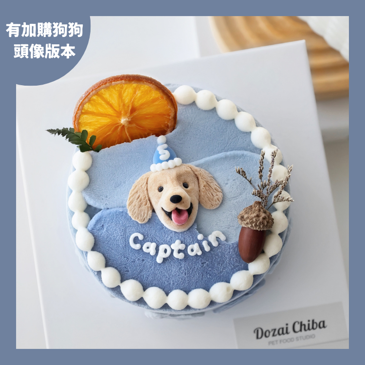 ꒰ 藍色系꒱ 橙光森林