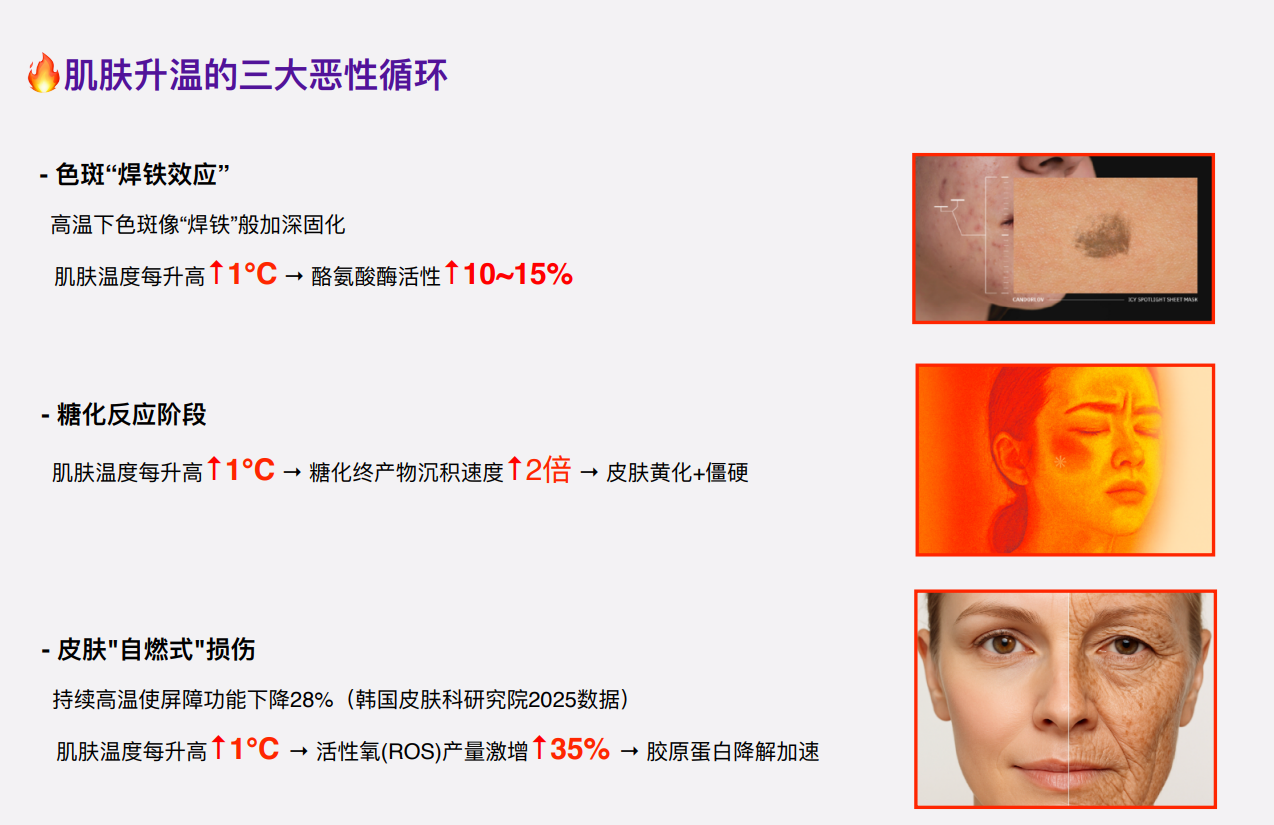 AG260326-D13-CDL-CANDORLOV 彩多樂冰點光亮SPOT LIGHT面膜-CANDORLOV ICY SPOT SHEET MASK-25ml*10ea-(EXP-5/21/2028)